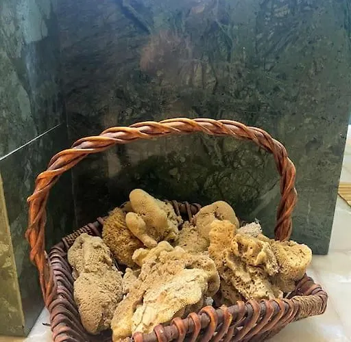 View Stylish Penthouse